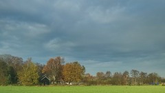 08