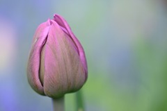 _DSC5675