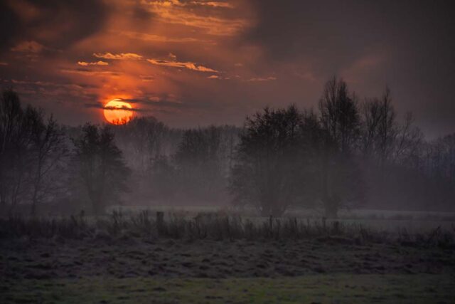 Foto: Tom Uleman Foto: Tom Uleman